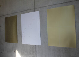 Vanessa Will Portfolio