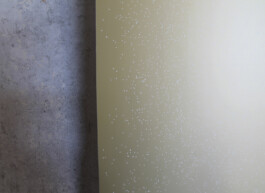 Vanessa Will Portfolio