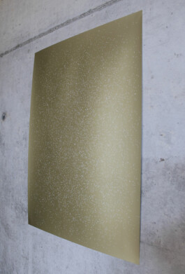 Vanessa Will Portfolio