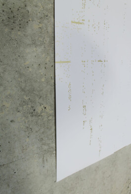 Vanessa Will Portfolio